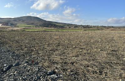 Gelibolu Sütlüce’de Yatırımlık Tarla – 203 m² Hisseli Tapu