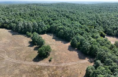 Tekirdağ Saray Güngörmez’de Ormana Komşu 207 m² Yatırımlık Parseller