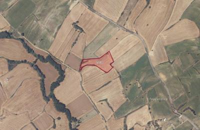 Gelibolu Gazisüleymanpaşa’da Yatırım Fırsatı: Tarla